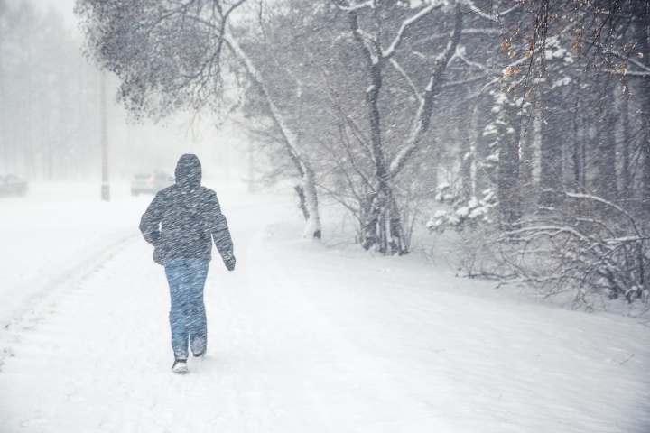  ����� ������� ������ ������� ������������ 