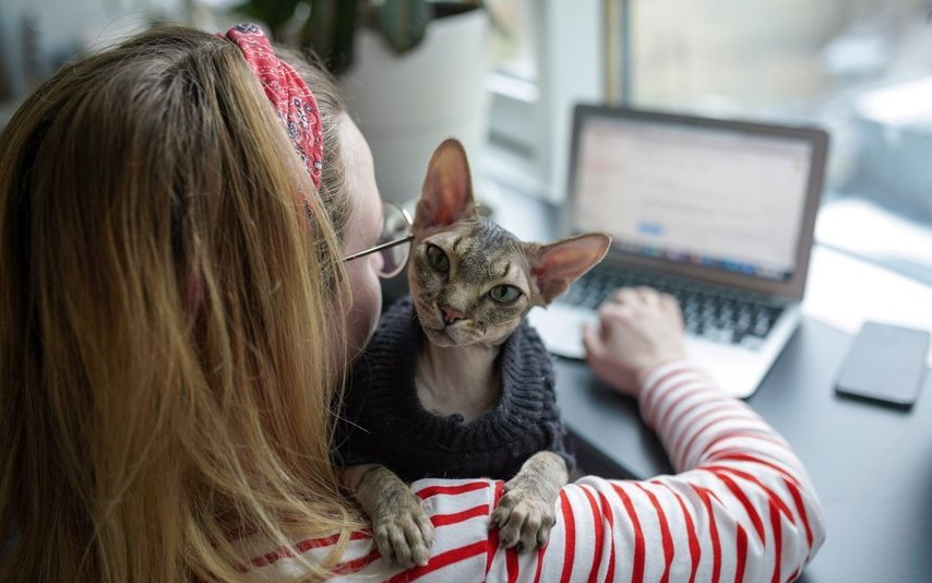  �������� ������� ��������� 