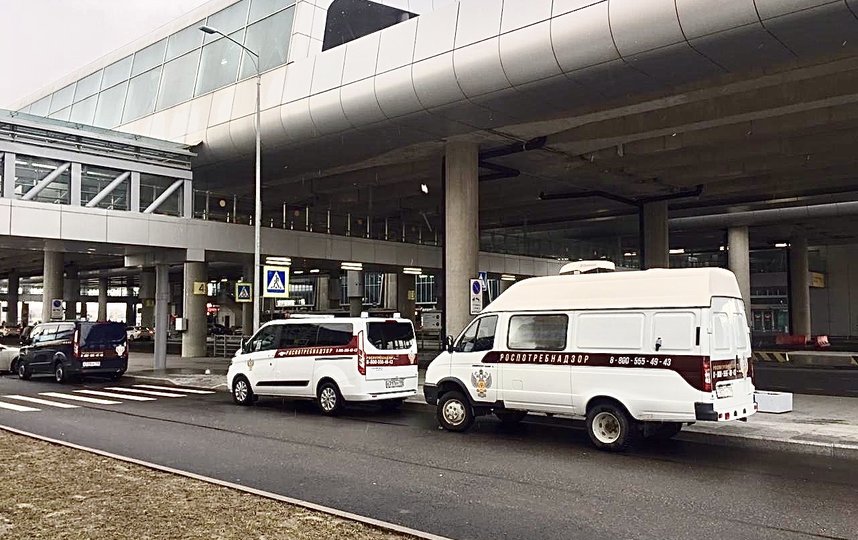 Фото: metronews.ru