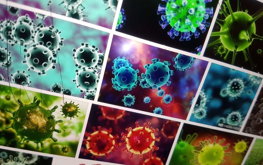  ������������ �������� �������� 