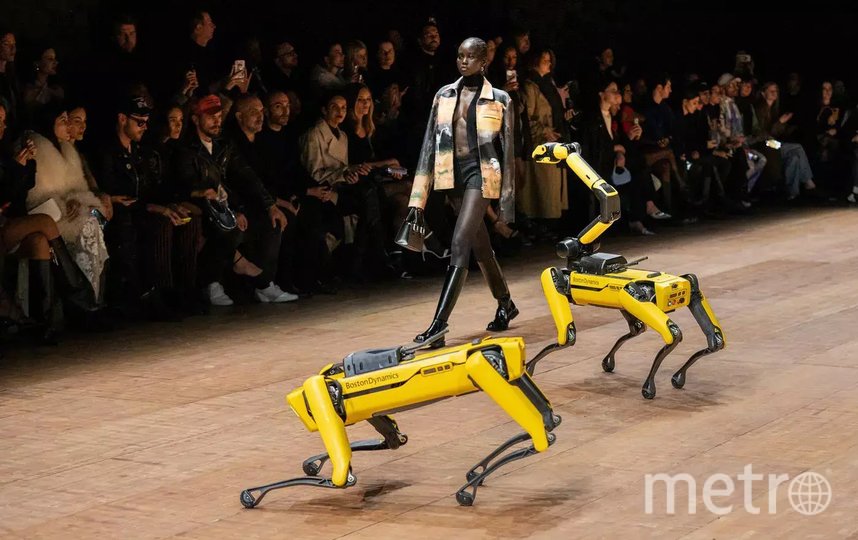  Boston Dynamics  :      