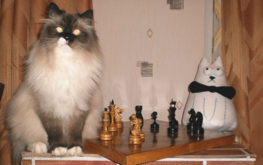 Подарки другу Что подарить другу? - Миллион Подарки для мужчин. Купить оригинальный и необычный подарок