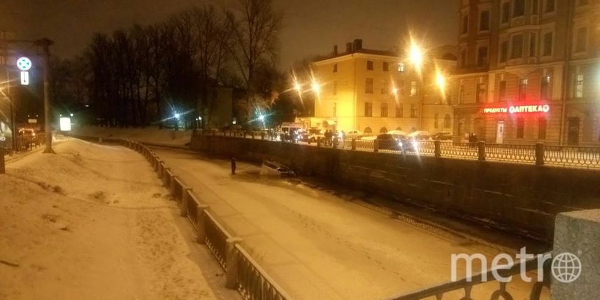 На Петроградской стороне автомобиль пробил ограждение и рухнул в реку Карповку