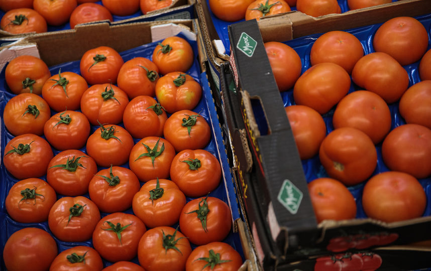 Эксперты считают что от эмбарго мы потеряли немного