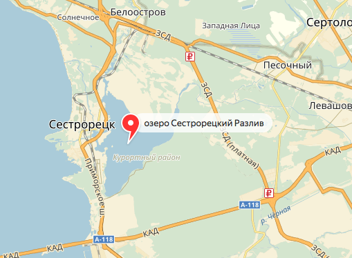 Акция пройдет на дороге, идущей вдоль Сестрорецкого залива. Фото Скриншот Яндекс.Карты