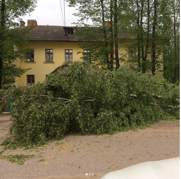 Ураган - дождь и мощный ветер - оставил без света Владимирскую и Ивановскую области. Фото Скриншот Youtube