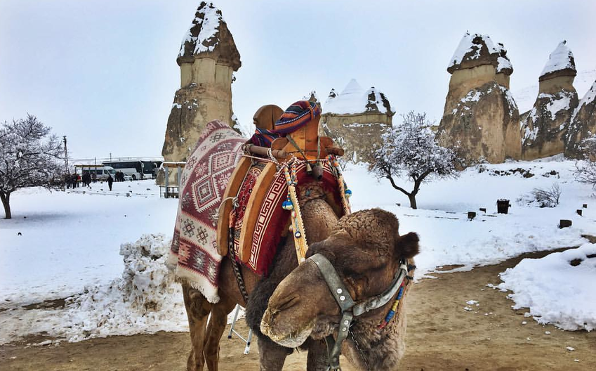 Тепло ли тебе в Турции? Фото Светлана Калатурская.