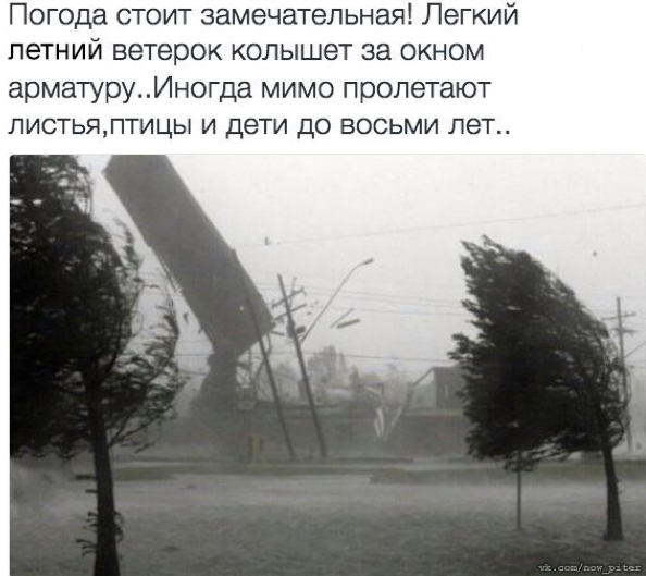 Шутки о погоде в Петербурге гуляют по Сети. Фото vk.com