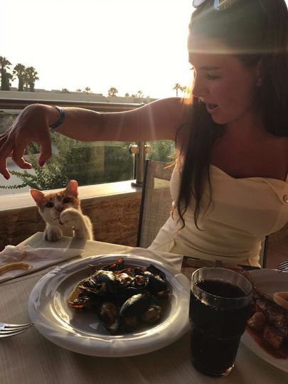 Фото сделано в Греции на острове Кос в ресторане Морской кухни, очень прожорливый котик составил нам с моим молодым человеком приятную компанию! Фото Пелевина Екатерина Сергеевна 25 лет