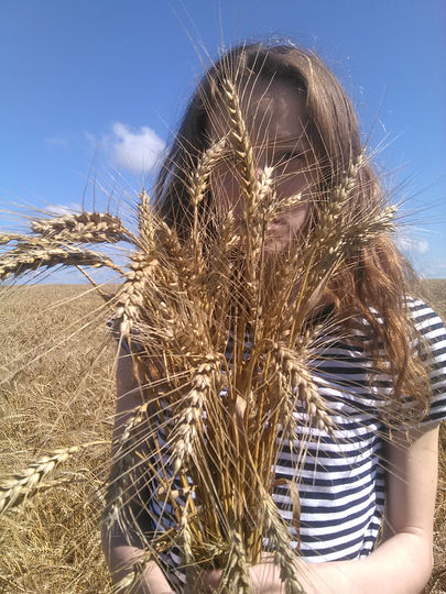Как же прекрасно окунуться в золотые лучики пшеницы, прогретые ярким летнем солнцем. Фото Липина Алена Александровна