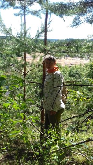 Отпуск я провела в деревне. Я люблю походы в лес. Елена Калинина. 