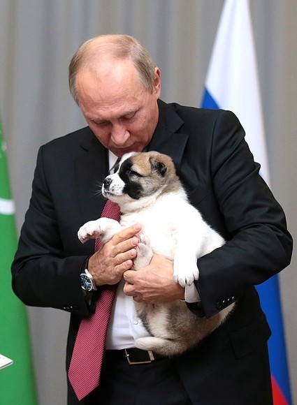 Путину подарили щенка. Фото http://kremlin.ru/