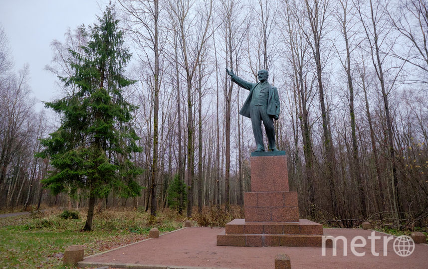 Здесь был ленин. Памятник Ленину в разливе. Шалаш Ленина в разливе в Тарховке. Тарховка памятник Ленину. Тарховский разлив памятник Ленин.