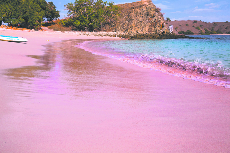 Пляж Пинк с розовым песком на острове Комодо. Фото Анна Киселёва.