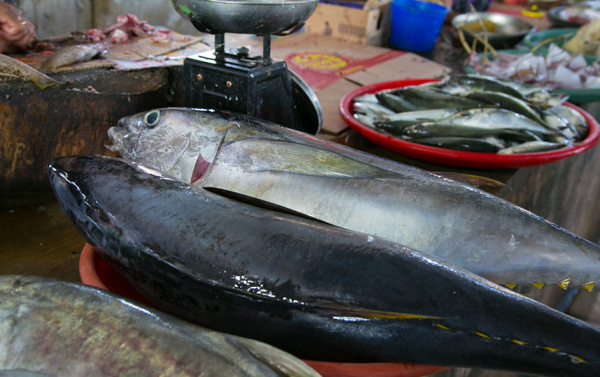 Рыбный рынок на острове Бали. Фото Анна Киселёва.