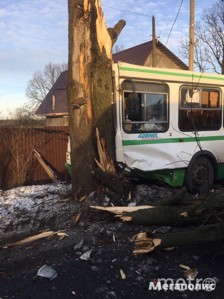ДТП на Дороге жизни: рейсовый автобус врезался в дерево