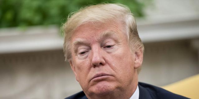 Дональд Трамп. Дональд Трамп.