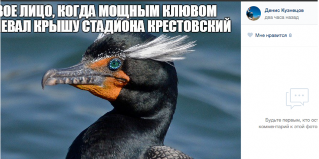 Баклан стал мемом. Баклан стал мемом.