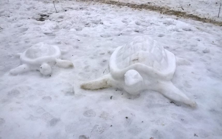 Снежные шедевры, безумные снеговики и другие забавные скульптуры из снега