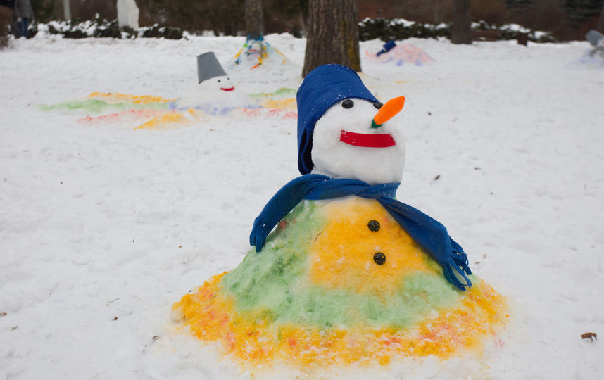 Фестиваль снеговиков прошёл в Сокольниках. Фото Василий Кузьмичёнок