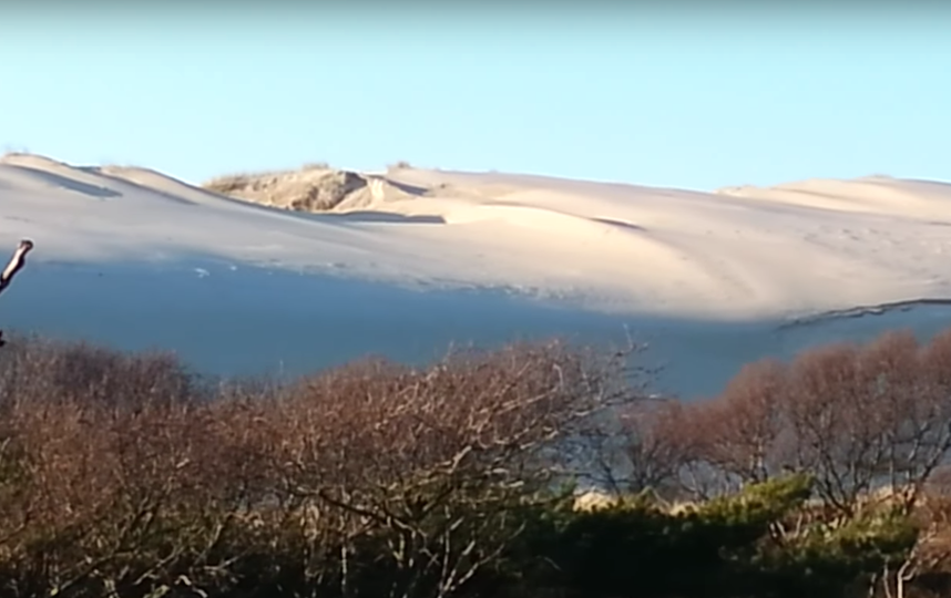Снег в пустыне Сахара. Фото Скриншот Youtube