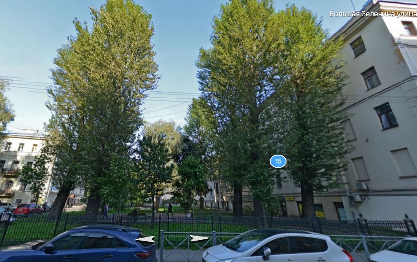 Петербуржцы выступили против грубой обрезки крон деревьев. Фото Красивый Петербург