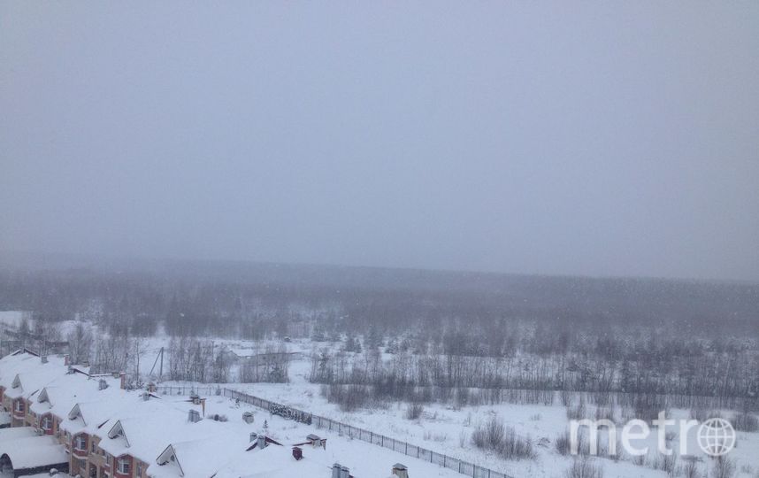 Погода раменский 14 дней. Погода в Раменском. Погода Раменское. Раменский погода сегодня. Погода в Раменском Московской.