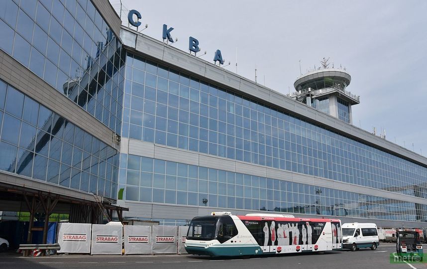 Две пассажирки избили сотрудников