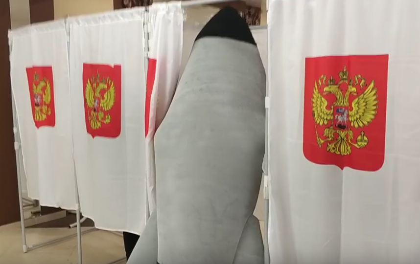 Выборы президента в Петербурге - 2018. Фото Все - скриншот YouTube