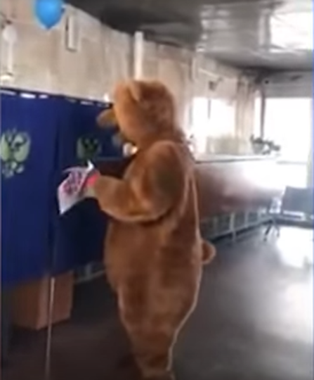 Медведь на выборах. Фото Скриншот Youtube/watch?v=59eyGYjyKkA