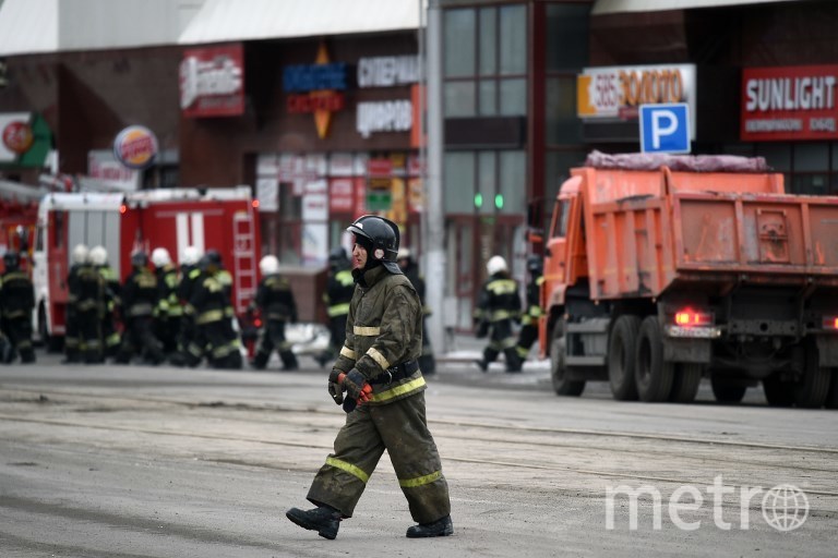 Зимняя вишня кемерово фото