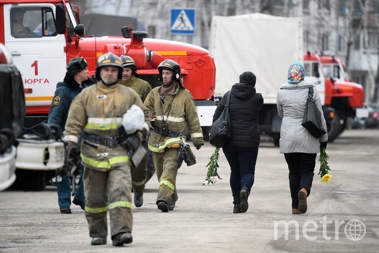 Зимняя вишня кемерово фото