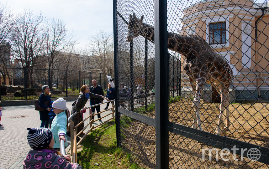 Все зоопарки в россии
