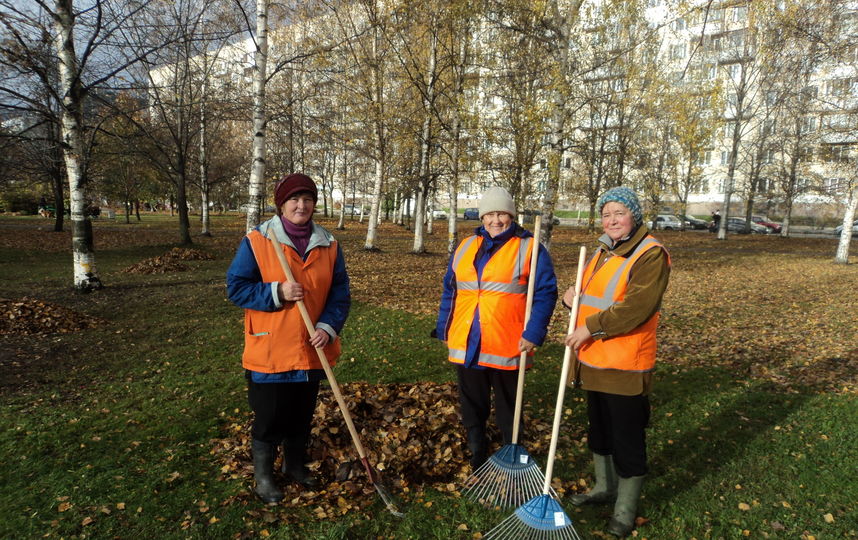 День благоустройства, архив. Фото gov.spb.ru/gov/otrasl/blago