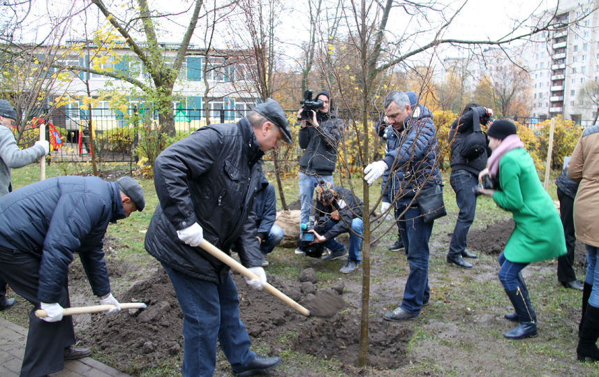 День благоустройства, архив. Фото gov.spb.ru/gov/otrasl/blago