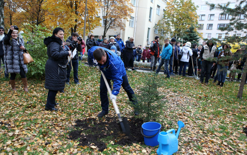 День благоустройства, архив. Фото gov.spb.ru/gov/otrasl/blago