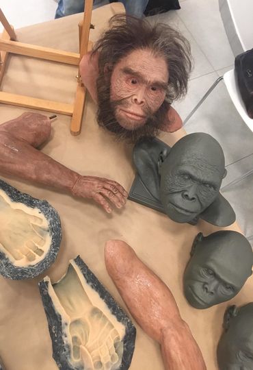 Летом учёные покажут целого homo naledi в виде скульптуры. Фото Дарья Буянова