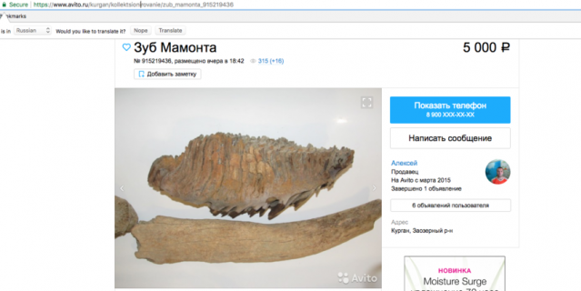 Оъявление о продаже костей мамонта на Avito. Оъявление о продаже костей мамонта на Avito.
