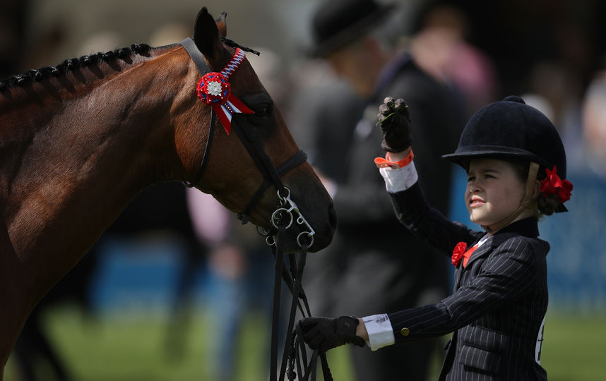 Royal Windsor Horse Show. Фото Getty