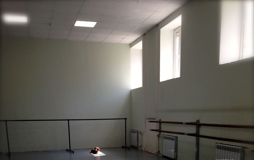 У нас балетная школа в Санкт-Петербурге - это тоже своего рода офис. Посылаем на конкурс фото - кошка Герда (красавица, охранница и борется с мышами, так как у нас первый этаж). Фото Владислав Курамшин и Татьяна Петрова
