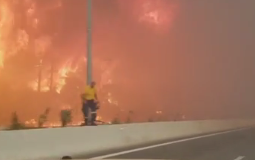 Число погибших в результате лесных пожаров в Греции выросло до 74 человек. Фото скриншот видео "РИА Новости".