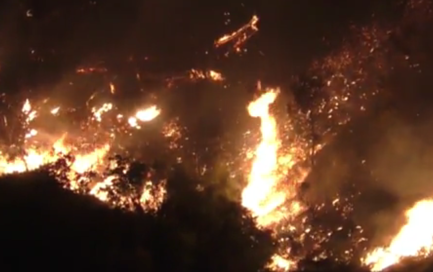 Число погибших в результате лесных пожаров в Греции выросло до 74 человек. Фото скриншот видео "РИА Новости".