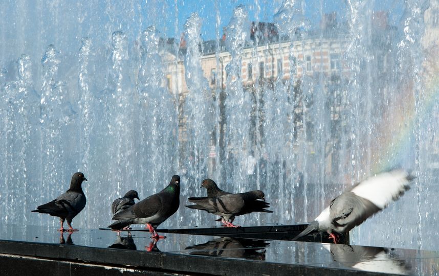 В Петербурге в День ВМФ отключали фонтаны. Фото Pixabay.com