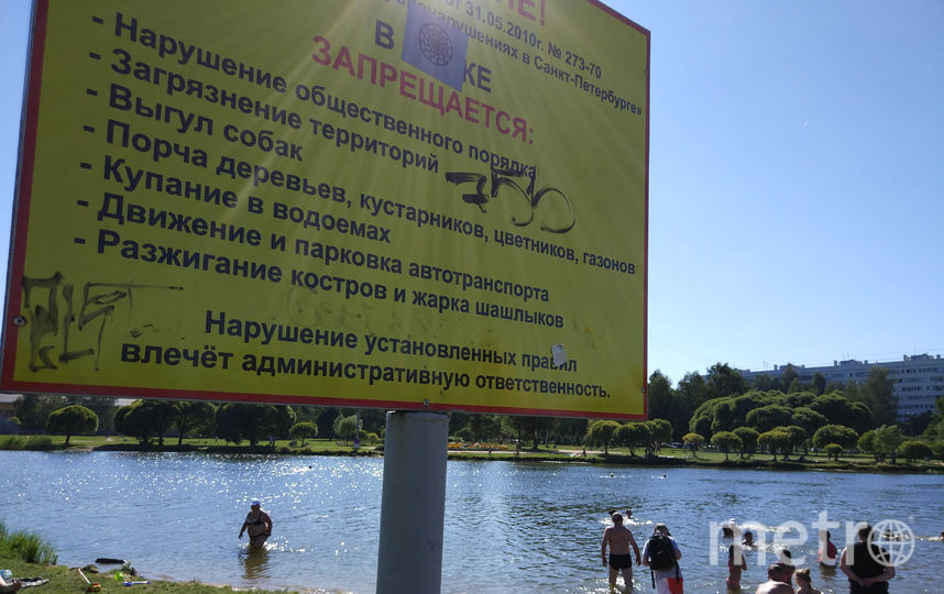 В водоёме купаются семьями. Фото Святослав Акимов, "Metro"
