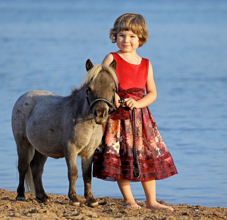 Гулливер, самый маленький в мире жеребенок миниатюрной лошади. Фото предоставлено организаторами международной конной выставки.