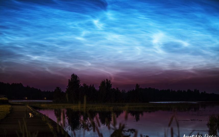 Серебристые облака в Сестрорецке. Фото Анатолий Дошин, vk.com/dam045.