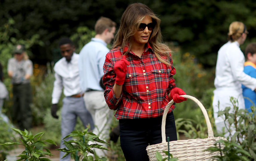 Мелания Трамп не часто наведывается в огород у Белого дома. Последний раз ее там заметили в октябре прошлого года. Фото Getty