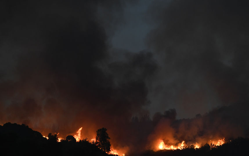 В Калифорнии бушует пожар. Фото AFP