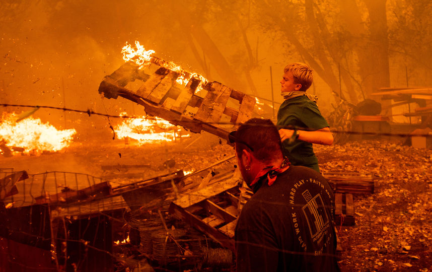 Пожар в Калифорнии не могут потушить уже больше двух недель. Фото AFP