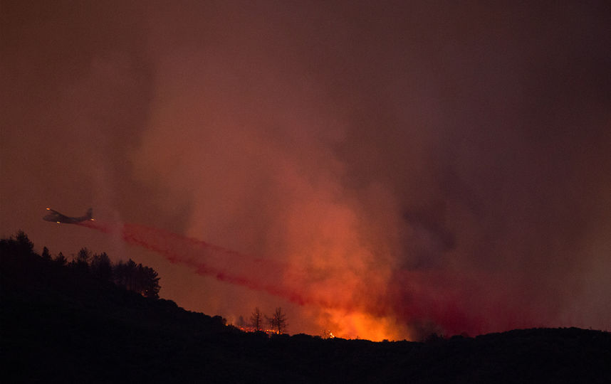 Пожар в Калифорнии не могут потушить уже больше двух недель. Фото AFP